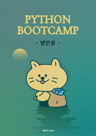 Python bootcamp - 